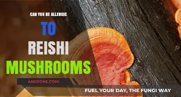 Reishi Mushroom Allergies: Uncovering Potential Reactions and Risks