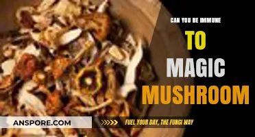 Exploring Magic Mushroom Immunity: Fact or Fiction?