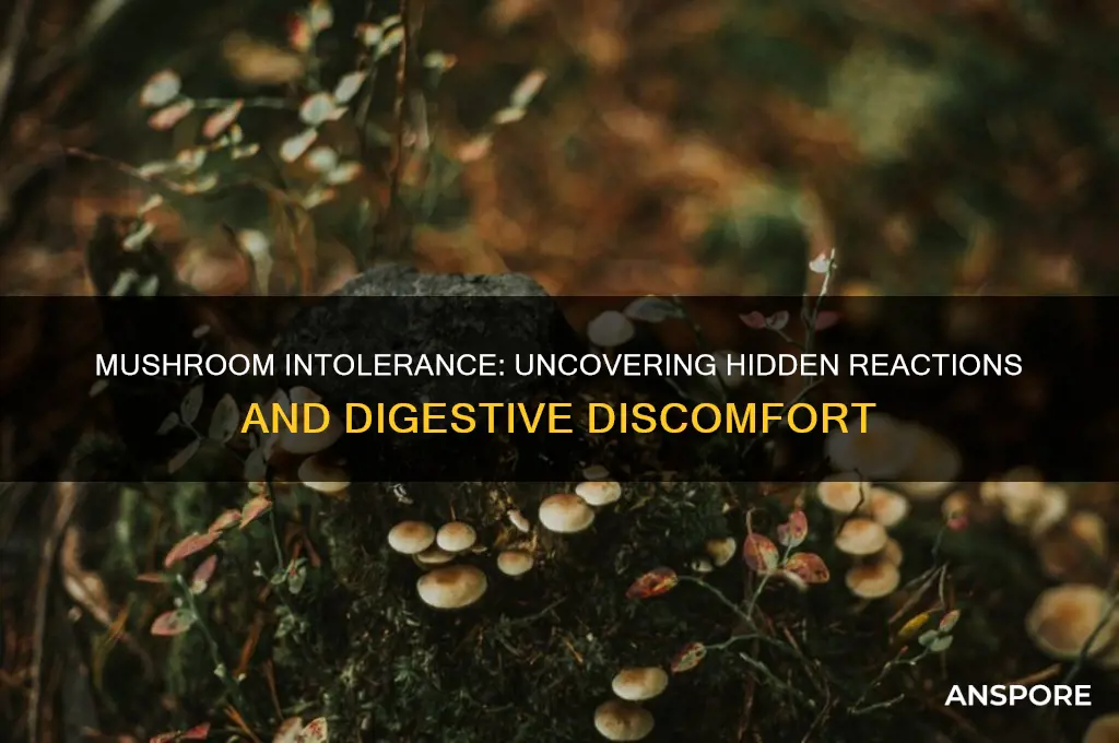 can you be intolerant to mushrooms