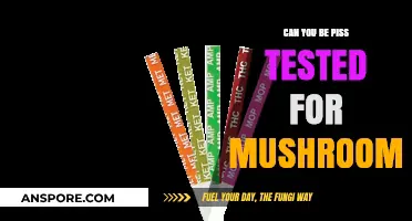 Mushroom Drug Testing: Can Psilocybin Be Detected in Urine?