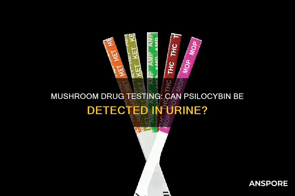 can you be piss tested for mushrooms