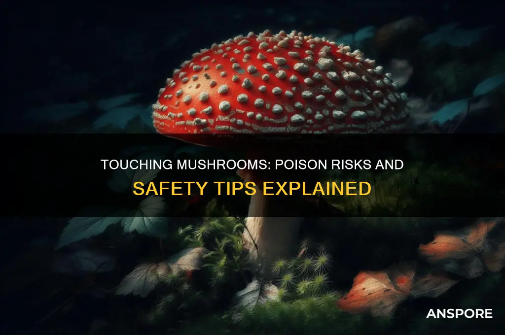 can you be poisoned by touching a mushroom