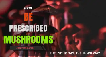 Prescribed Mushrooms: Exploring Therapeutic Potential and Legal Considerations