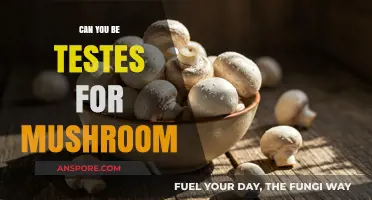 Testing for Mushroom Exposure: What You Need to Know