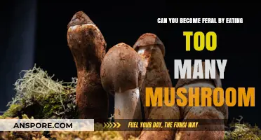 Can Overeating Mushrooms Lead to Feral Behavior? Exploring the Myth