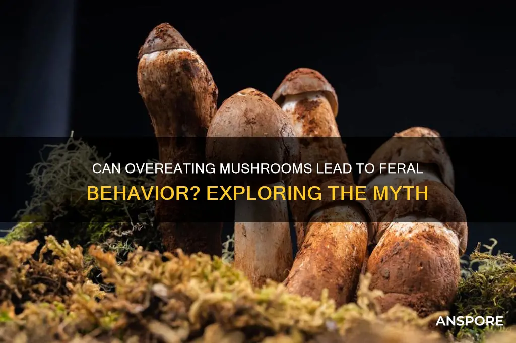 can you become feral by eating too many mushrooms
