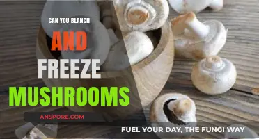 Blanching and Freezing Mushrooms: A Simple Preservation Guide