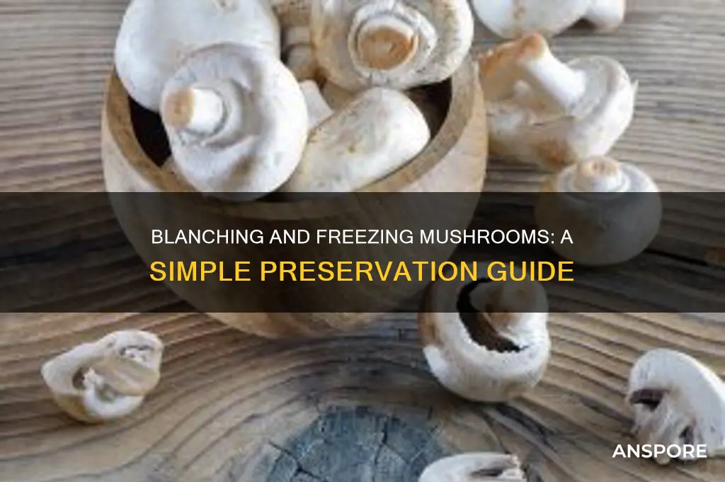 can you blanch and freeze mushrooms