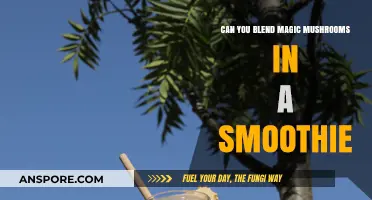 Blending Magic Mushrooms in Smoothies: Safe, Effective, or Risky?