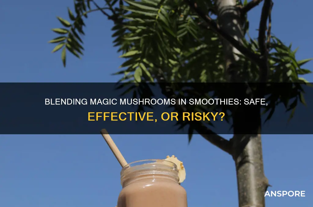 can you blend magic mushrooms in a smoothie