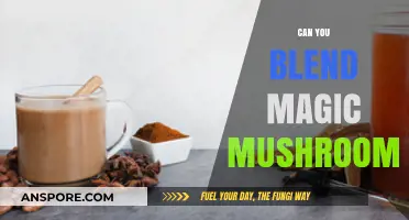 Blending Magic Mushrooms: Safe Methods, Effects, and Legal Considerations