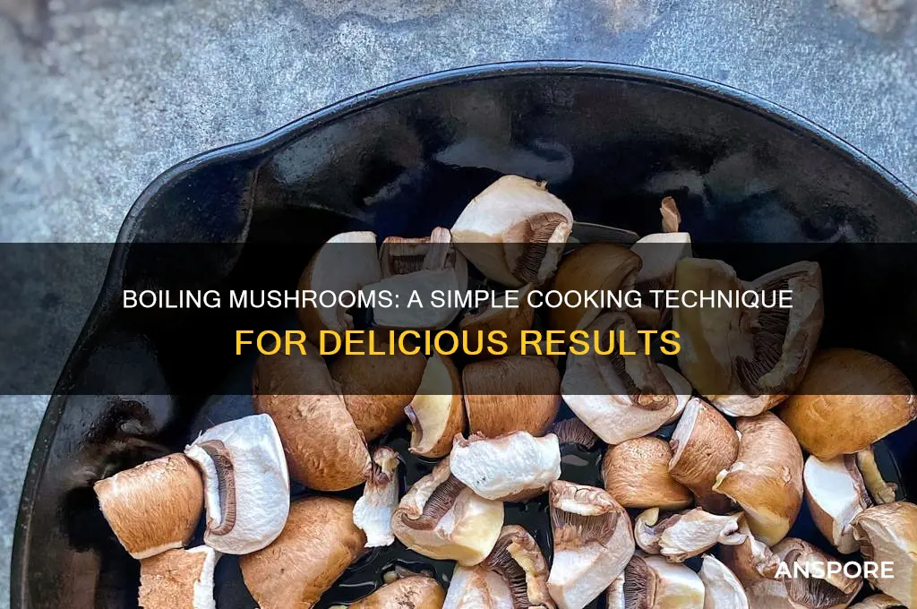 can you boil a mushroom