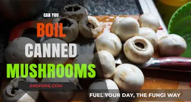 Boiling Canned Mushrooms: Tips, Safety, and Culinary Uses Explained