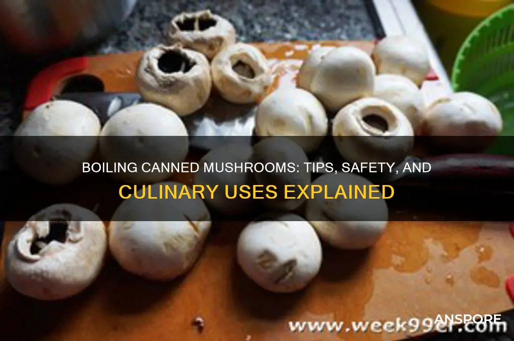 can you boil canned mushrooms