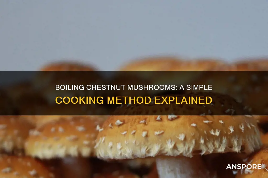 can you boil chestnut mushrooms