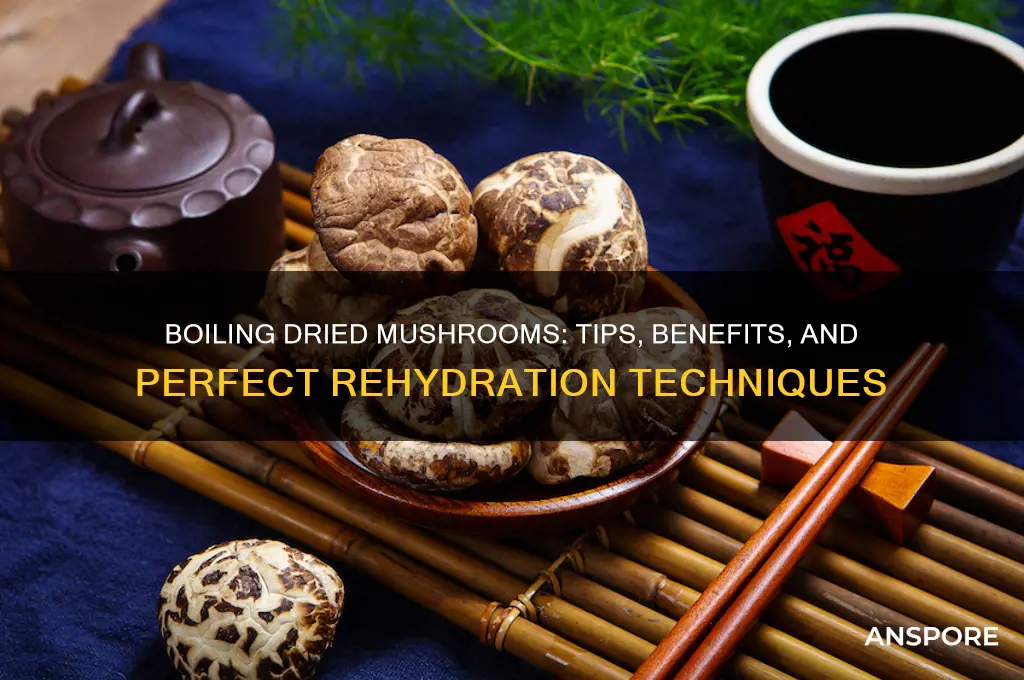 can you boil dried mushrooms