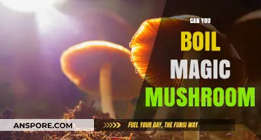 Boiling Magic Mushrooms: Safe Preparation Methods and Potential Effects