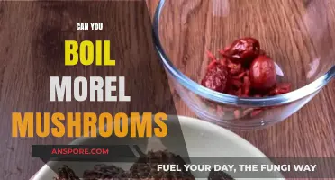 Boiling Morel Mushrooms: A Safe and Delicious Preparation Method?