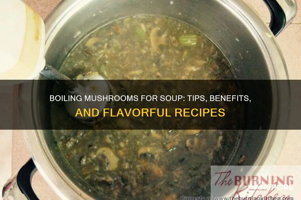 can you boil mushrooms for soup