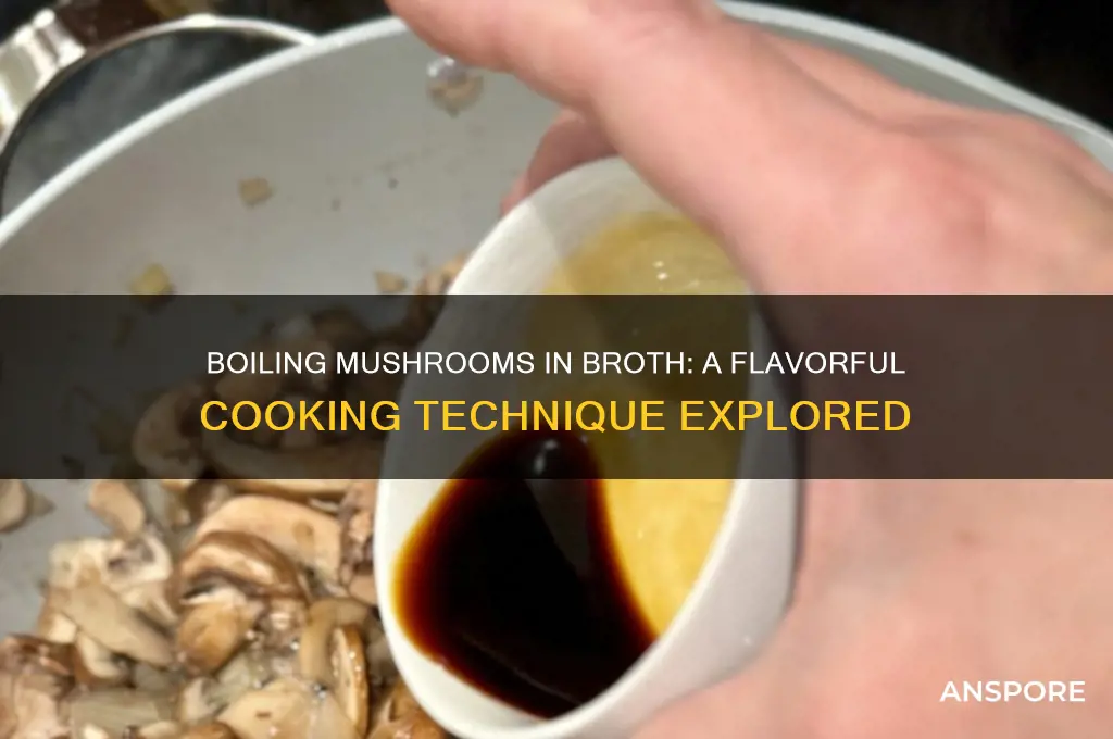 can you boil mushrooms in broth