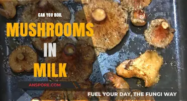 Boiling Mushrooms in Milk: A Creamy Culinary Experiment Explored