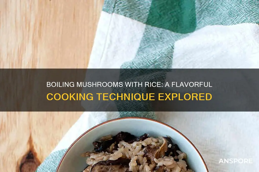 can you boil mushrooms with rice