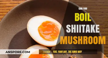 Boiling Shiitake Mushrooms: Tips, Benefits, and Perfect Cooking Techniques