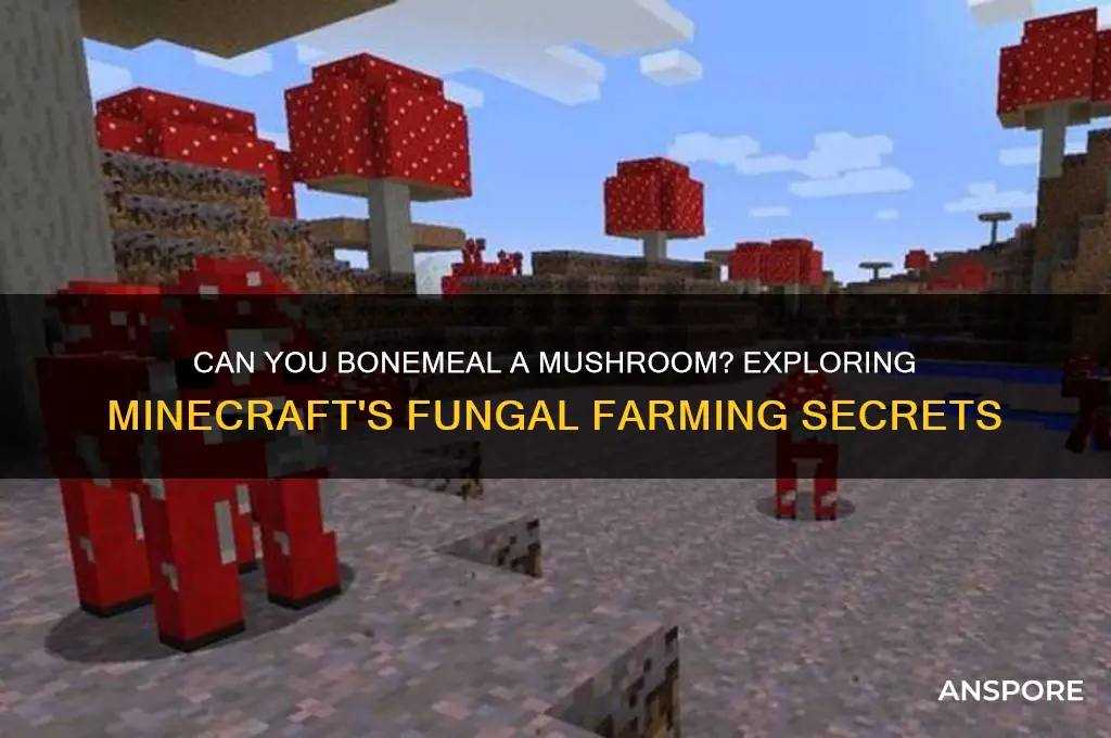 can you bonemeal a mushroom