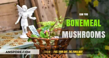Can You Use Bonemeal on Mushrooms? A Gardening Myth Explained