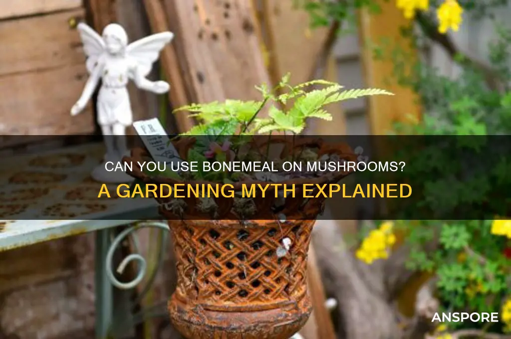 can you bonemeal mushrooms