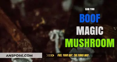 Boofing Magic Mushrooms: Risks, Effects, and What You Need to Know