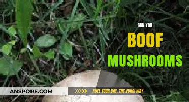 Exploring the Risks and Myths of Boofing Mushrooms: What You Need to Know