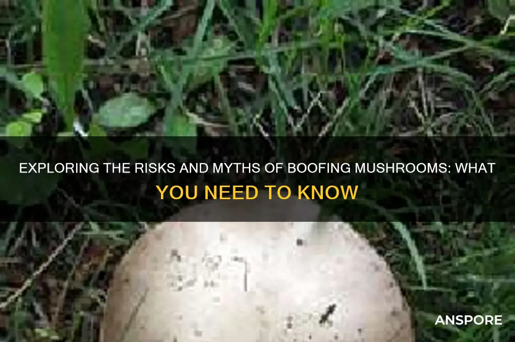 can you boof mushrooms