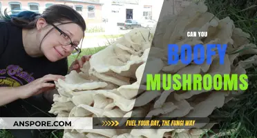 Boofing Mushrooms: Risks, Myths, and Why You Should Avoid It