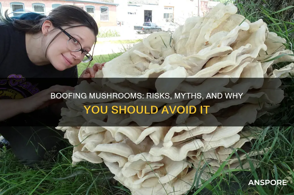 can you boofy mushrooms