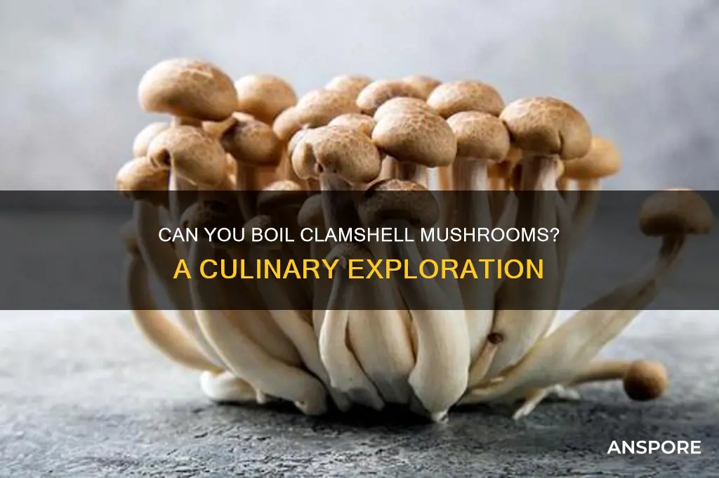can you boul clamshell mushrooms