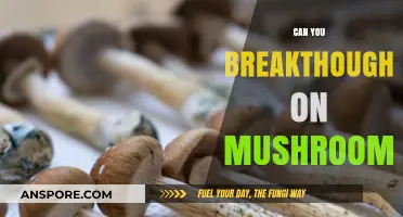 Unlocking the Mind: Can Mushrooms Facilitate Breakthrough Experiences?