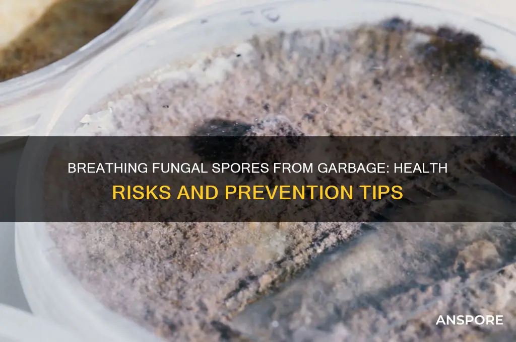 can you breathe in fungal spores from garbage