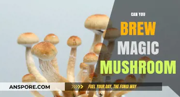 Brewing Magic Mushrooms: Exploring the Possibilities and Risks