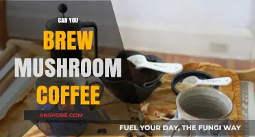 Brewing Mushroom Coffee: A Unique Twist to Your Morning Ritual