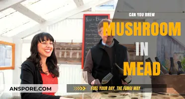 Brewing Mushrooms in Mead: Unconventional Fermentation Techniques Explored