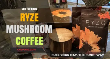 Brewing Ryze Mushroom Coffee: A Unique and Healthy Energy Boost