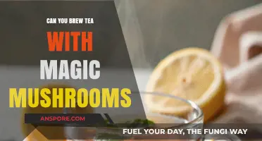 Brewing Tea with Magic Mushrooms: Risks, Benefits, and Legalities