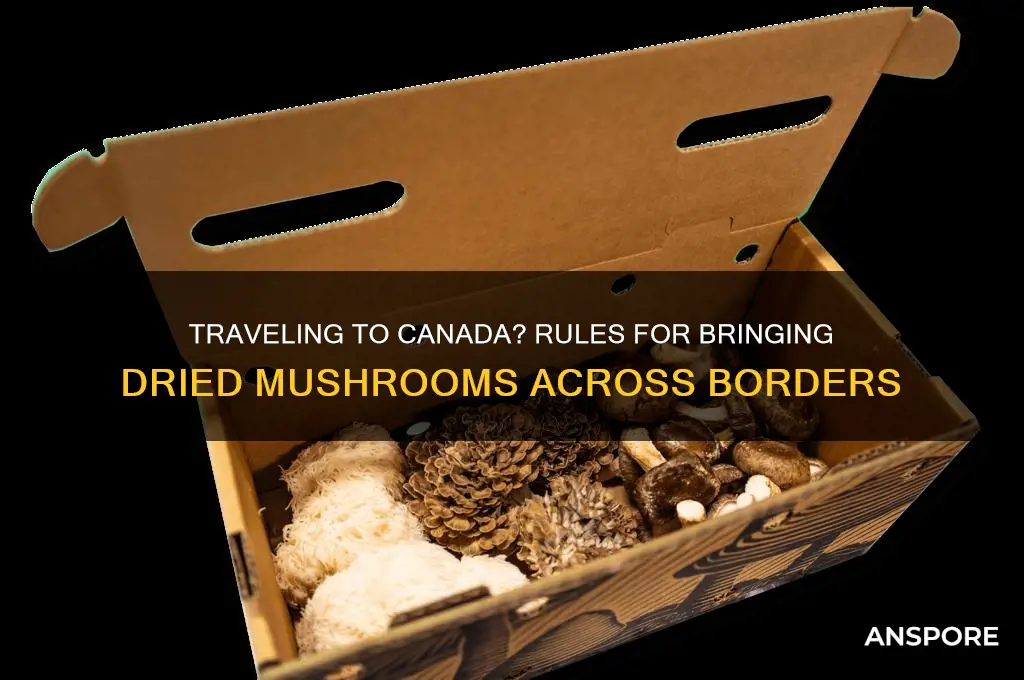 can you bring dried mushrooms into canada