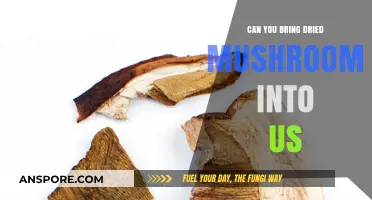 Bringing Dried Mushrooms into the US: Legalities and Customs Guidelines
