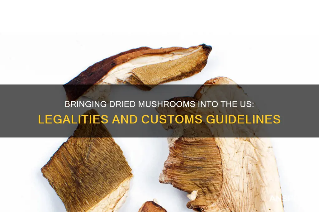 can you bring dried mushrooms into us