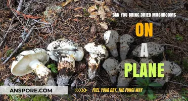 Flying with Dried Mushrooms: TSA Rules and Travel Tips