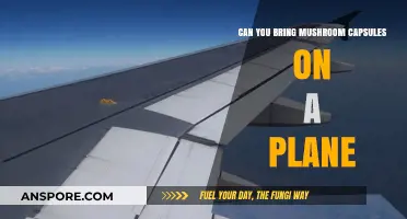 Flying with Mushroom Capsules: TSA Rules and Travel Tips
