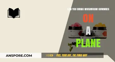 Flying with Mushroom Gummies: TSA Rules and Travel Tips