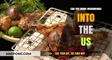 Traveling with Mushrooms: US Import Rules and Regulations Explained